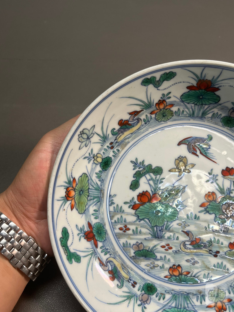 清雍正  斗彩荷塘鸳鸯“满池娇”图折沿盘（附老盒） - 图6